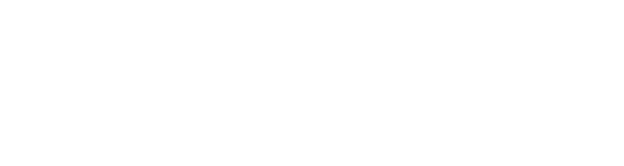 LNDS